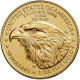 2023 1 OZ AMERICAN GOLD EAGLE