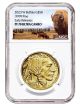 2023 1 Ounce Gold Buffalo Proof PF-70 