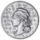 2022 2 OZ SILVER ROUND THE AWAKENING SERIES AMA-GI LIBERTY